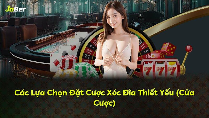 Các Lựa Chọn Đặt Cược Xóc Đĩa Thiết Yếu (Cửa Cược)