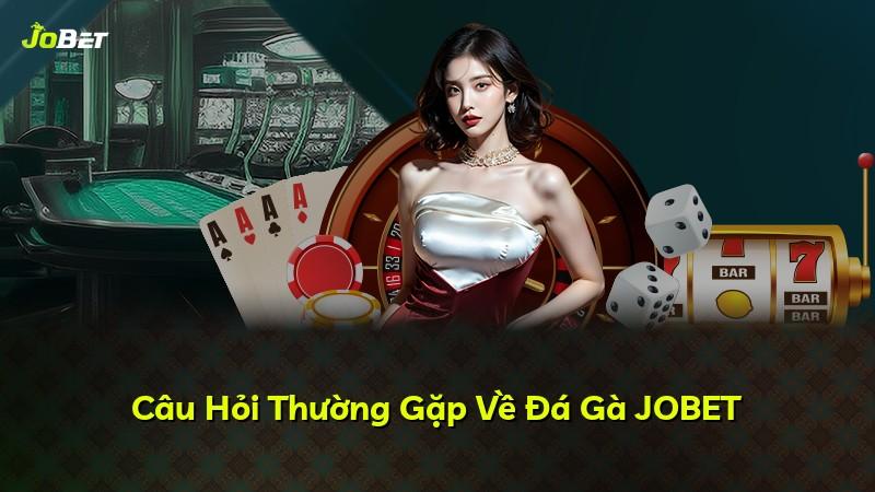 Câu Hỏi Thường Gặp Về Đá Gà JOBET