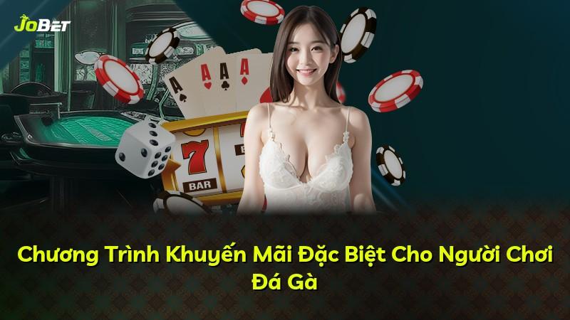 Chương Trình Khuyến Mãi Đặc Biệt Cho Người Chơi Đá Gà