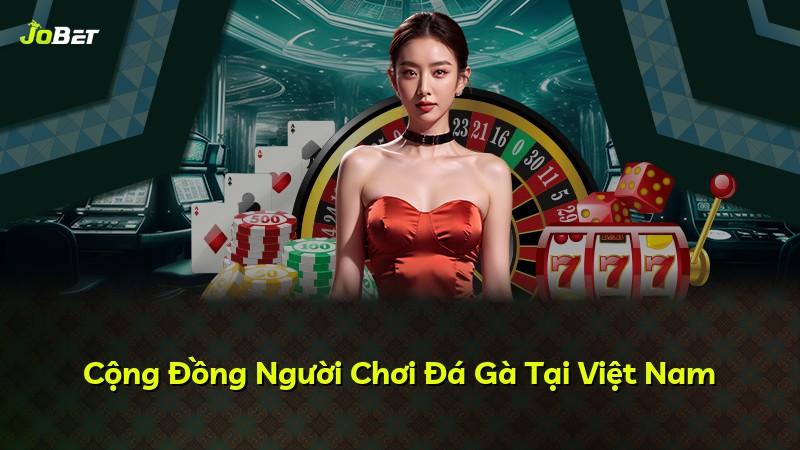 Cộng Đồng Người Chơi Đá Gà Tại Việt Nam