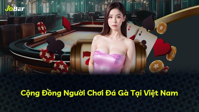 Cộng Đồng Người Chơi Đá Gà Tại Việt Nam