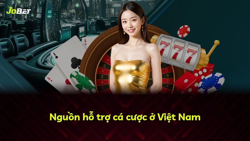 Nguồn hỗ trợ cá cược ở Việt Nam